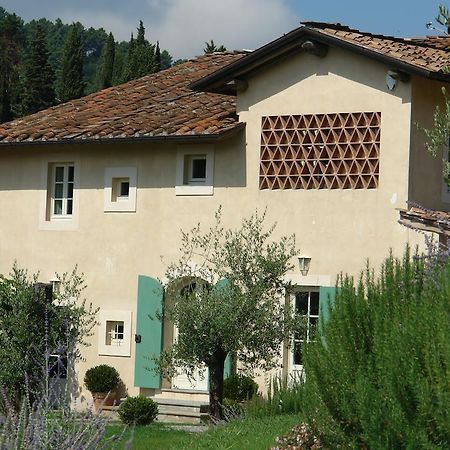 Вилла Agriturismo Mareli Камайоре Экстерьер фото