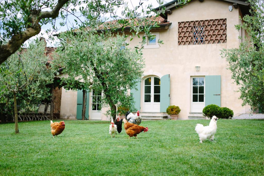 Вилла Agriturismo Mareli Камайоре Экстерьер фото